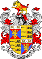 shapeimage_11